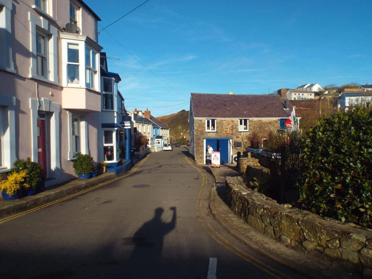 Pendyffryn Manor Bed & Breakfast Little Haven Bagian luar foto